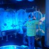 IMG_20161215_104129